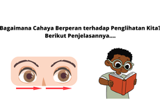 Bagaimana Cahaya Berperan terhadap Penglihatan Kita? Berikut Penjelasannya....