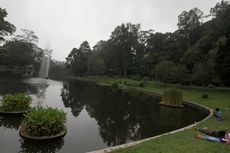 Kebun Raya Cibodas di Cianjur: Harga Tiket Masuk, Jam Buka, dan Berbagai Hal Menarik di Dalamnya