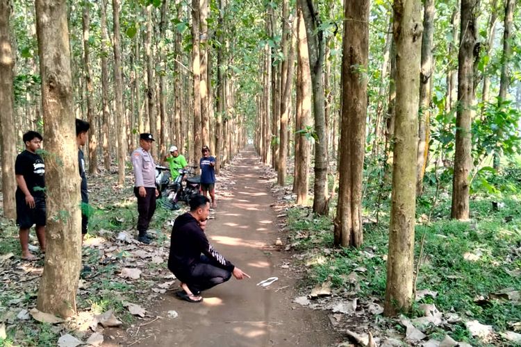 Petugas kepolisian melakukan pemeriksaan lokasi pembegalan terhadap seorang wanita muda di tengah hutan jati Kelurahan Kembangarum, Kecamatan Sutojayan, Kabupaten Blitar, Sabtu (23/8/2025)
