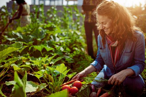 Nikmati Manfaat Berkebun, Rileksasi hingga Tumbuhkan Rasa Peduli