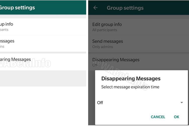 Bidikan layar fitur Disappearing Messages di WhatsApp