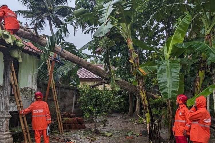 Akibat hujan deras disertai angin kencang yang terjadi sejak beberapa hari terakhir, menyebabkan 30 rumah di 25 desa di Kabupaten Kebumen mengalami kerusakan akibat tertimpa pohon yang tumbang. 