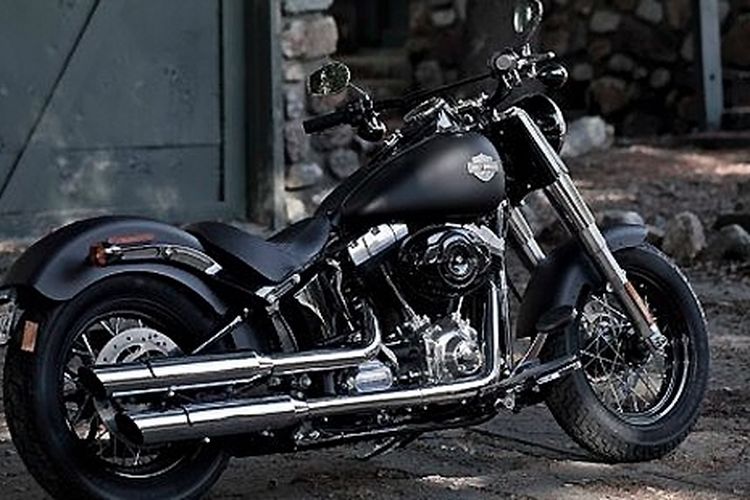 Harley Davidson Sportster Dan Softail Slim Baru