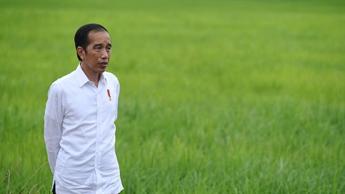 Saat "Food Estate" Dikritik Cak Imin dan Mahfud, Diakui Gibran Ada yang Gagal