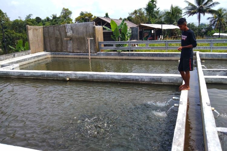 Ilustrasi kolam ikan budidaya berbentuk persegi panjang. 