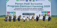 Contract Farming, Cara Pemprov DKI Perkuat Ketahanan Pangan Jakarta