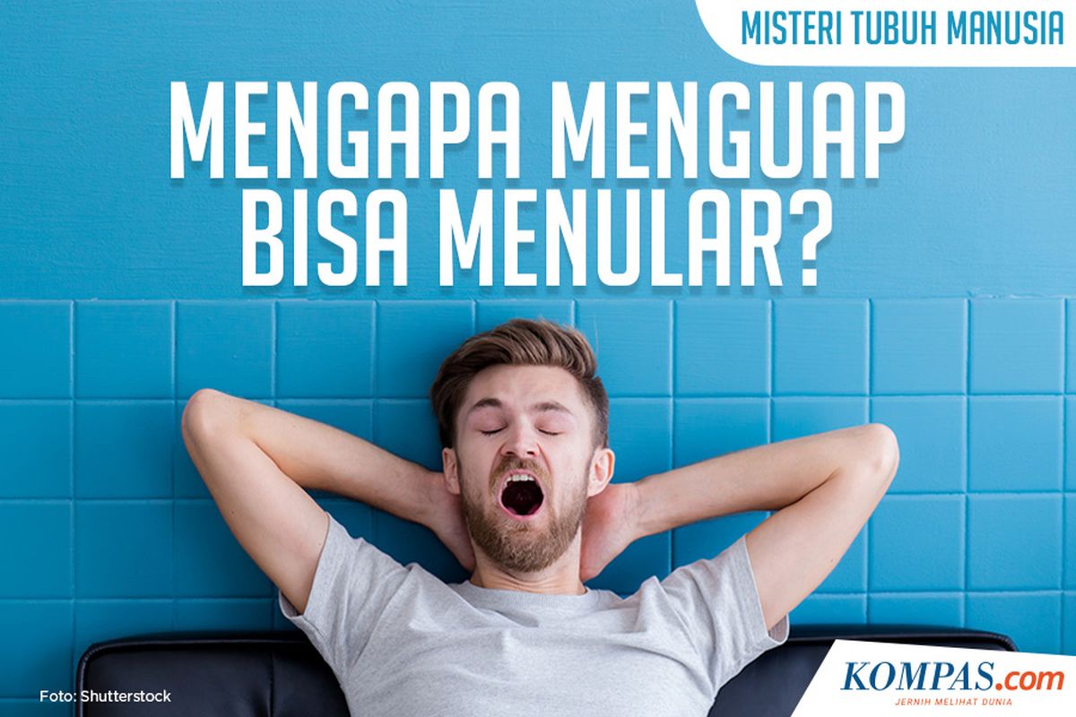 Infografik Misteri Tubuh Manusia Mengapa Menguap Bisa Menular