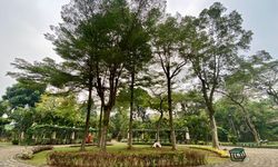 5 Tips ke Taman Tabebuya di Jakarta, Bawa Air Minum dan Mainan