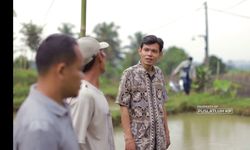 Sulap Bekas Sawah Jadi Kolam, Penyuluh Perikanan di Bogor Bantu Pokdakan Produksi 3 Ton Nila