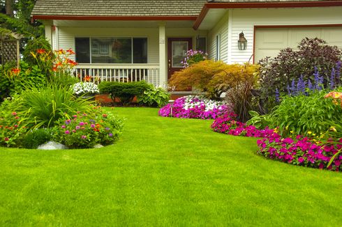 4 Kesalahan Landscaping yang Dapat Merusak Halaman Rumah