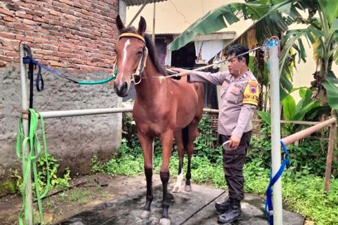 Sosok Polisi yang Jadi Kusir Kereta Pengantin Kaesang-Erina, Ternyata Bhabinkamtibmas di Cilacap