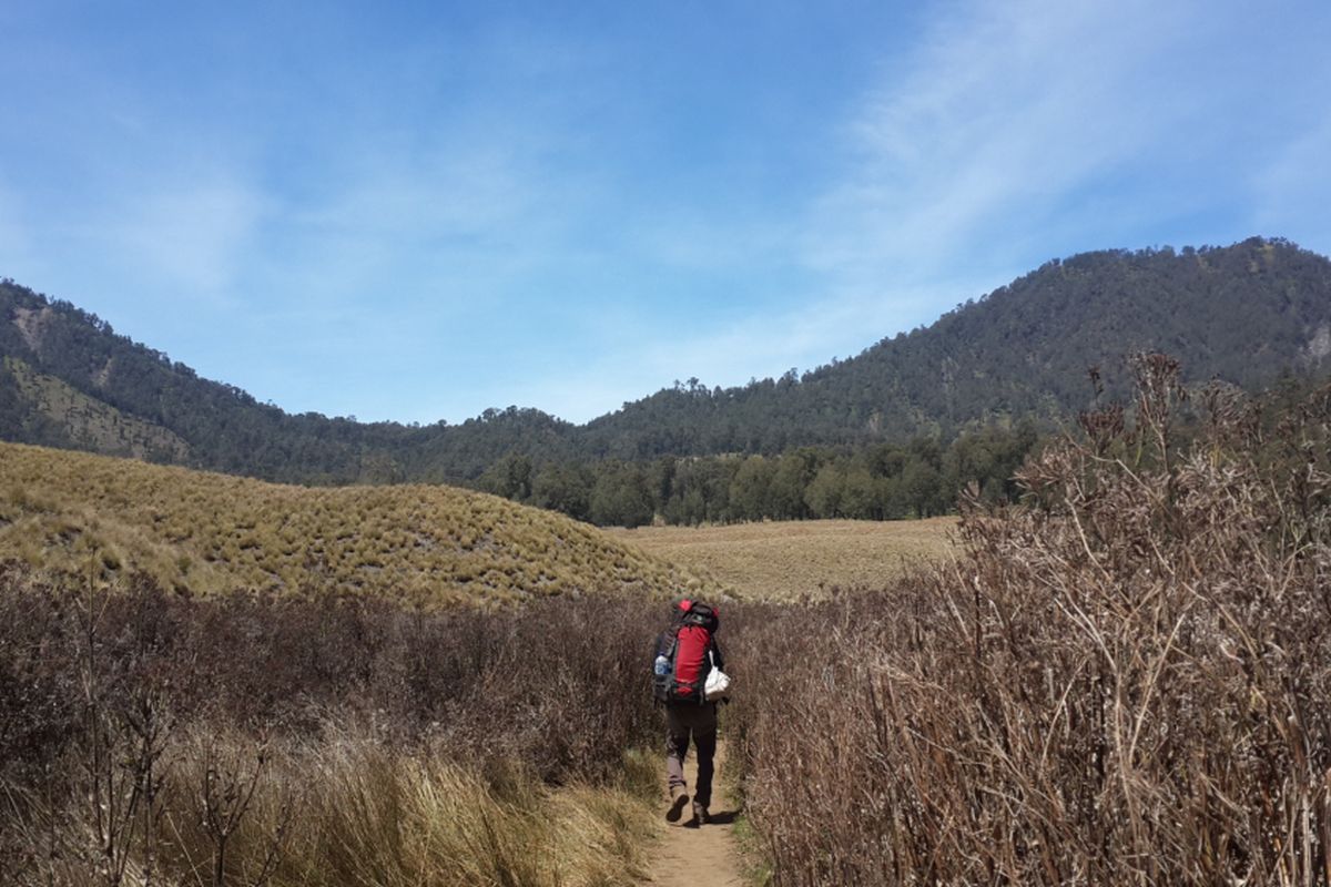 Seorang pendaki saat melintas di jalur pendakian Blok Oro-oro Dowo menuju Puncak Mahameru, Gunung Semeru, Jumat (22/9/2017).