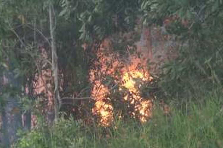 Kebakaran lahan di Kabupaten Ogan Ilir Sumatera Selatan makin meluas