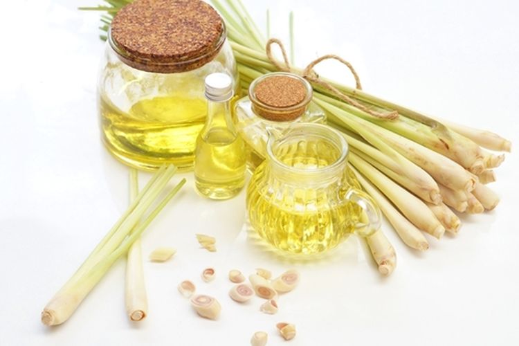 Ilustrasi minyak atsiri dari serai wangi