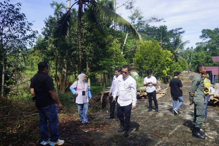 Heboh Pohon Hutan Kota Pasaman Barat Ditebang dan Dijual ke Toko Perabot, DLH Klarifikasi