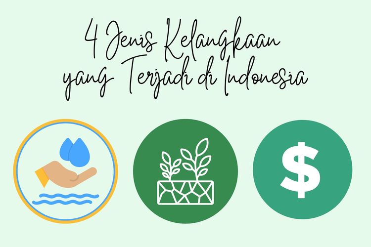 Ada empat jenis kelangkaan yang terjadi di Indonesia, yakni kelangkaan sumber daya manusia, modal, kewirausahaan, dan sumber daya alam.