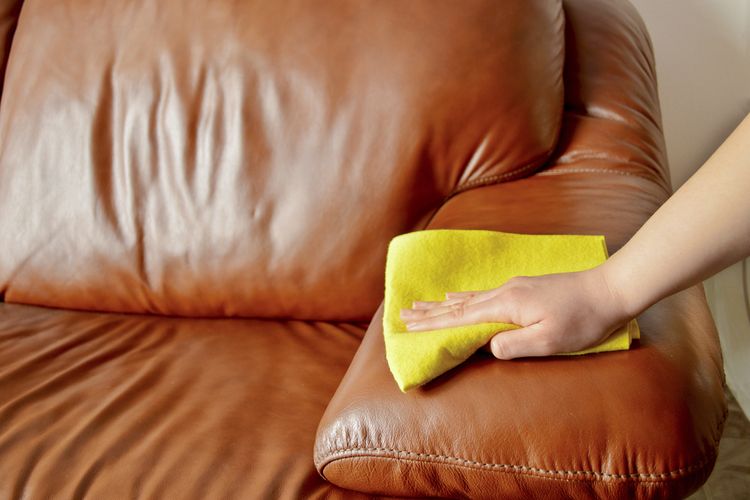 Ilustrasi membersihkan sofa kulit.