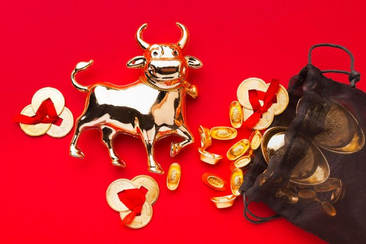 Enam shio diprediksi paling hoki di Tahun Kuda Api 2026. Tiger, Horse, Goat, Monkey, Rooster, dan Dragon punya peluang cuan besar tahun depan.