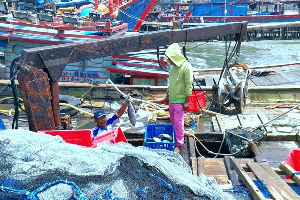 Kapal-kapal yang akan diatur alat penangkapan ikan dan jalur penangkapan ikan sesuai aturan baru yang berlaku.