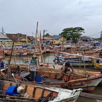 Nelayan di Desa Ketapang, Kecamatan Mauk, Kabupaten Tangerang, Banten menurunkan bambu pagar laut yang dibongkar Rabu (22/1/2025). Menurut nelayan, bambu tersebut bisa dibawa pulang oleh masing-masing nelayan.