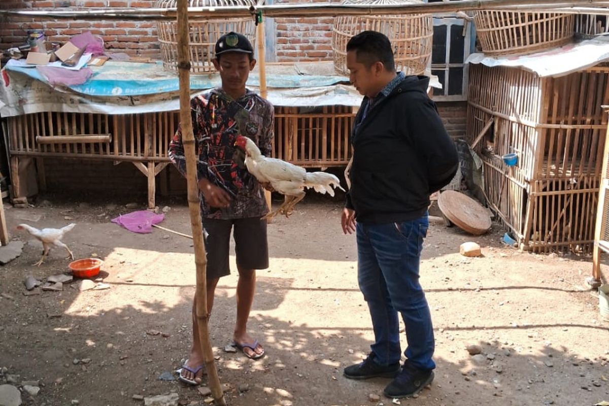 Warga menunjukkan petugas polisi seekor ayam yang berhasil diselamatkan dari aksi pencurian di Desa Tambibendo, Kecamatan Mojo, Kabupaten Kediri, Jawa Timur, Kamis (12/9/2024).