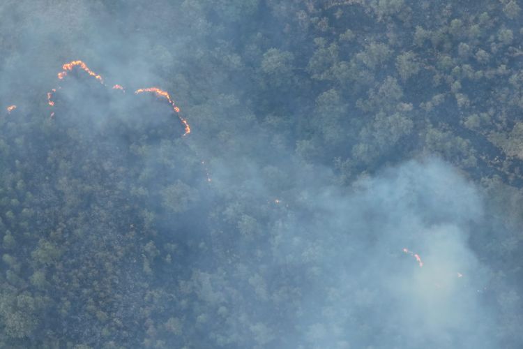 Kebakaran Ijen Capai 1.552 Hektare, 3 Titik Api Baru Muncul di Ungup-Ungup
