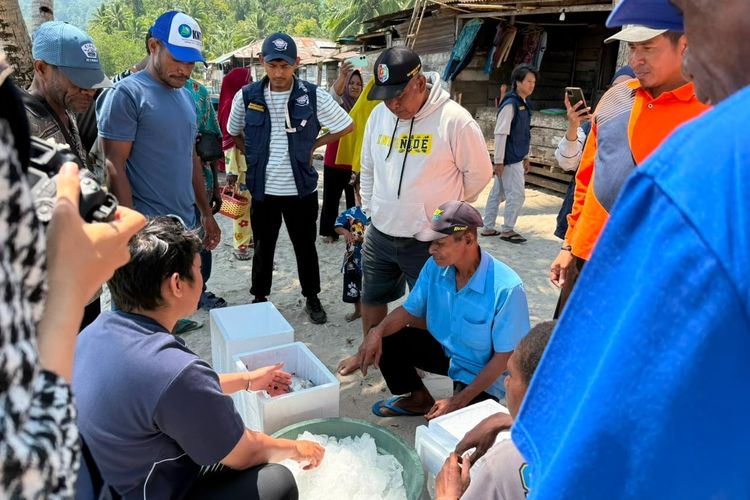Dukung Swasembada Pangan Presiden Prabowo, Nelayan Fakfak Untung Tiga Kali Lipat dari Olahan Ikan