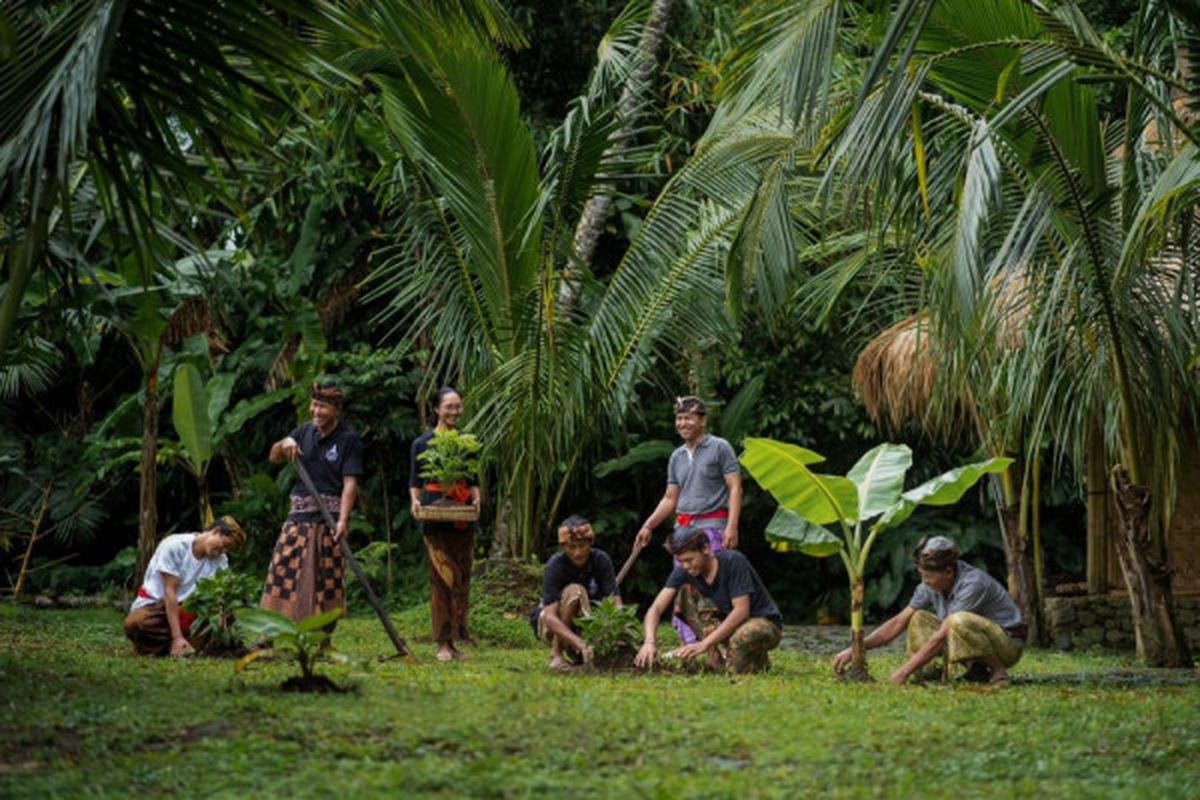 Prpgram Apurva Kempinski?s Sustainable Agriculture Program yang merupakan kolaborasi  antara Apurva Kempinksi dan Samsara Living Museum 