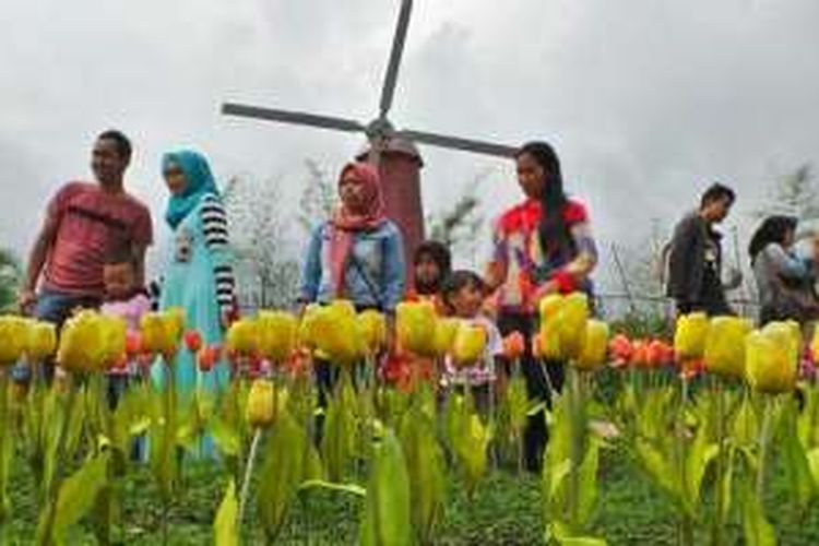 Miniatur kincir angin Belanda dan bunga tulipnya di Small World Baturraden, Jalan Raya Ketenger, Desa Ketenger, Kecamatan Baturraden, Kabupaten Banyumas, Jawa Tengah.