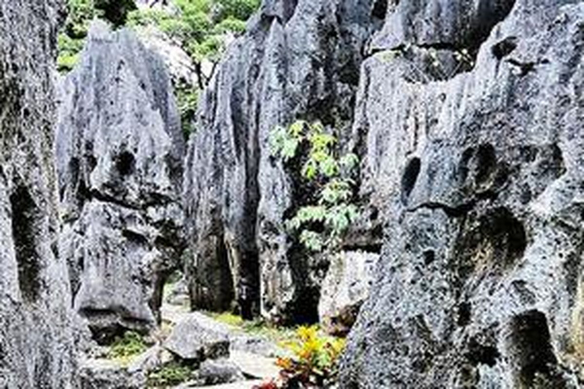 Obyek wisata Leang Leang di Maros, Sulawesi Selatan.