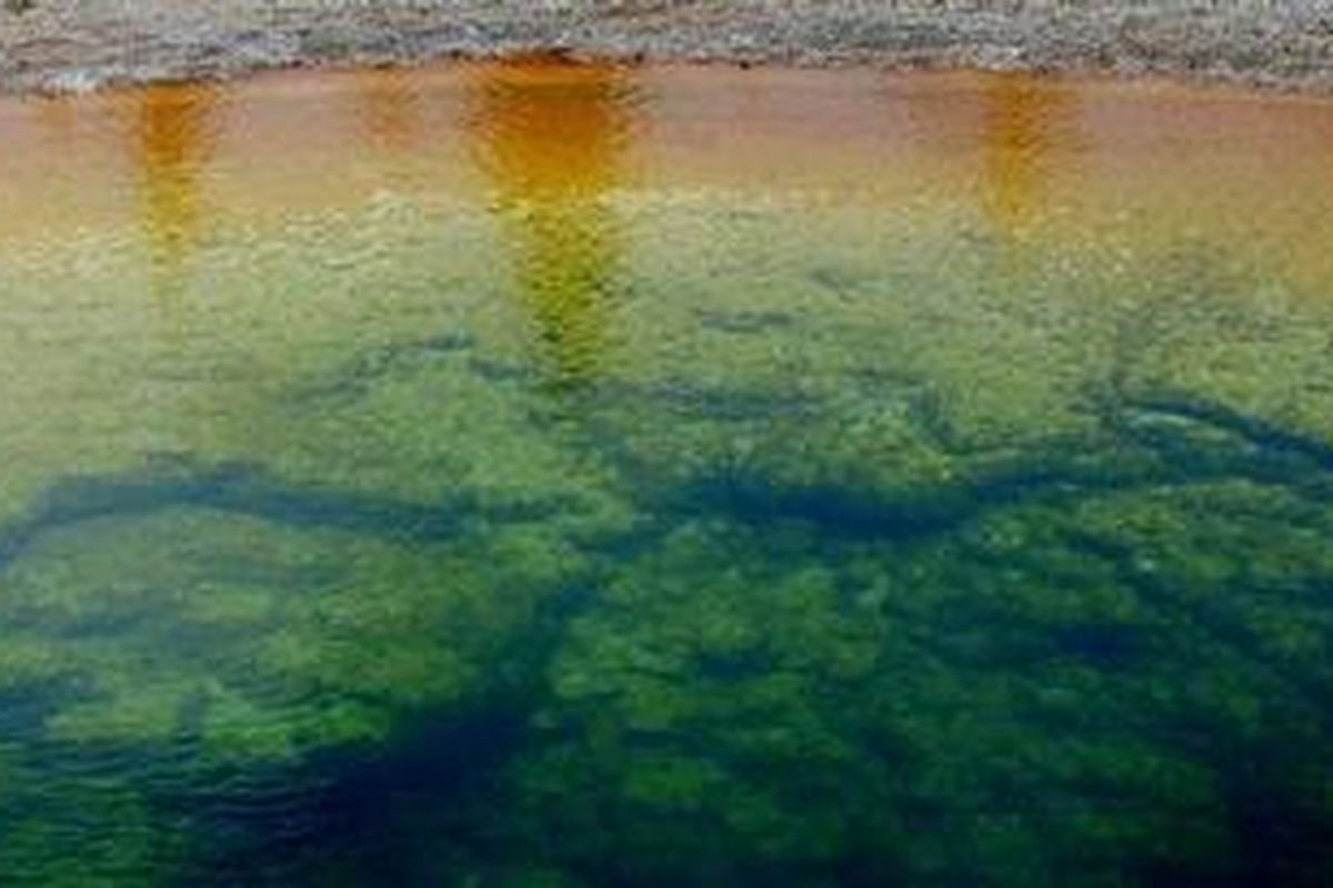 View of the Morning Glory hot spring with its unique colors caused by brown, orange and yellow algae-like bacteria called Thermophiles, that thrive in the cooling water turning the vivid aqua-blues to a murkier greenish brown, in the Yellowstone National Park, Wyoming on June 1, 2011. Yellowstone National Park, was established by the U.S. Congress and signed into law by President Grant on March 1, 1872. The park is located primarily in the U.S. state of Wyoming, though it also extends into Montana and Idaho and was the first national park in the world. It is known for its wildlife and its many geothermal features, especially the Old Faithful Geyser.
