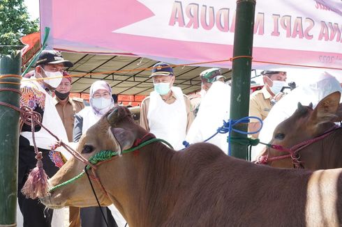 Dapat Jatah 3.000 Dosis, Pemkab Sumenep Mulai Vaksinasi Hewan Ternak