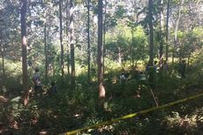 Pelaku Pembunuh Kakek di Hutan Tewas Saat Hendak Diringkus Polisi