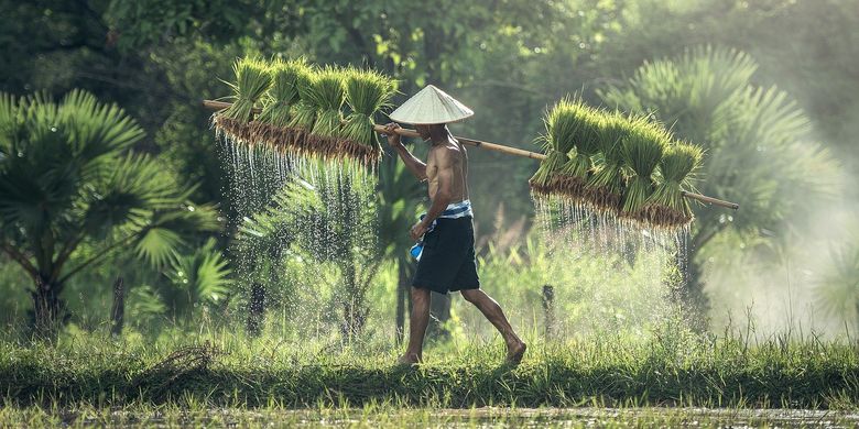 Surat Kahbar Nyatakan Hasil Kekayaan Bumi Di Negara Kita