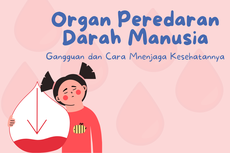 Gangguan Organ Peredaran Darah Manusia dan Cara Menjaga Kesehatannya