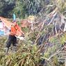 Hujan Deras Sebabkan Pohon Tumbang di Telaga Sarangan, 3 Warung Rusak