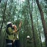Menilik Potensi Industri Pulp dan Kertas Berkelanjutan sebagai Penggerak Perekonomian Indonesia