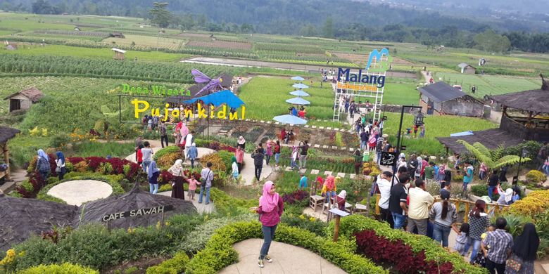 Pernah Ke Kafe Sawah Konsepnya Unik Dan Disukai Wisatawan Halaman All Kompas Com