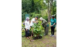 Dukung Reforestasi dan Ekonomi Lokal Garut, SMBC Indonesia Tanam 1.971 Pohon