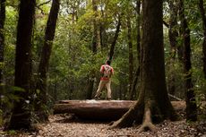 5 Cara Melakukan Forest Bathing, Beda dengan Trekking dan Hiking 