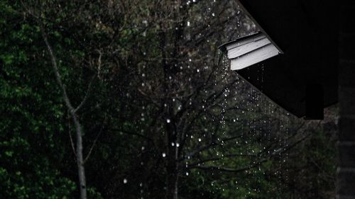 Diprediksi Hujan Deras Saat Pilkada 2024, TPS Rawan Bencana Bakal Digeser