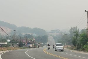 Bencana Jangka Panjang Itu Bernama Karhutla...