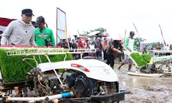 Panen Raya di Trimurjo, Lampung Siap Jadi Garda Terdepan Ketahanan Pangan Nasional