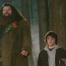 20 Kutipan Inspiratif Harry Potter, Bisa Dibagikan di Media Sosial