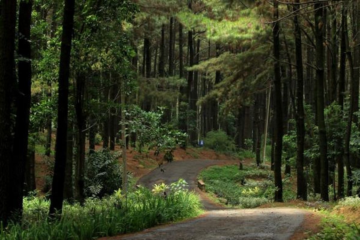 Gunung Pancar - Sinar Mas Land
