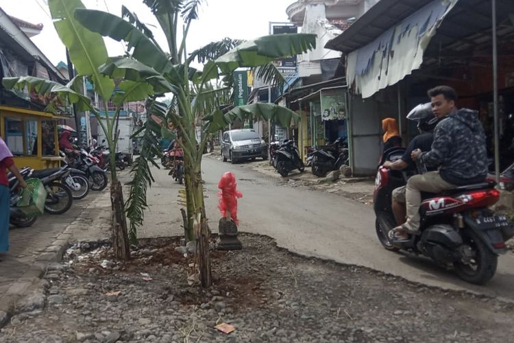 Pohon pisang yang ditanam di tengah jalan rusak menjadi peringatan bagi pengendara.