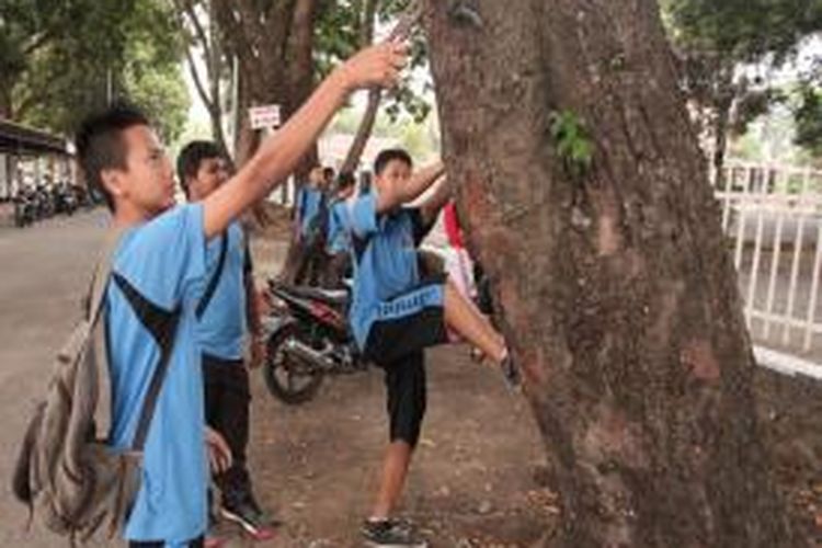 Sejumlah pelajar mengikuti gerakan cabut paku di pohon di Kota Magelang, Jumat (7/11/2014). Gerakan ini gagasan Gubernur Jawa Tengah, Ganjar Pranowo.