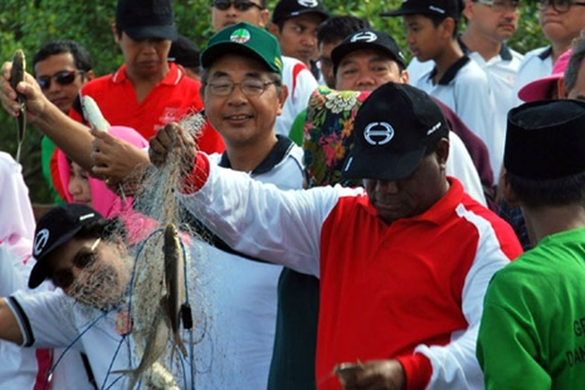 Akihito Yamanaka (topi hijau) ikut panen ikan dari tambak hutan bakau.