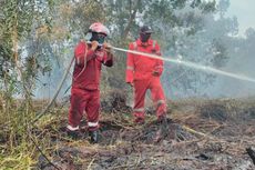 Karhutla di Pekanbaru, Pemadaman Masih Dilakukan karena Api Sudah Masuk Gambut