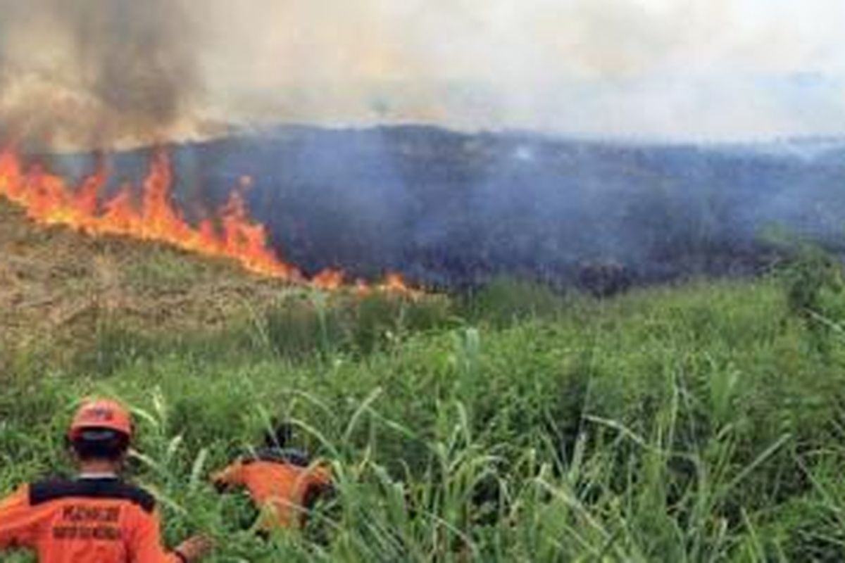 Pembakaran hutan kelapa sawit di Sumatera